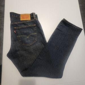 Levi's Blue Relaxed Straight Jeans Classic Fit